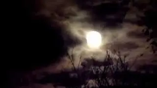 DAR WILLIAMS = CALLING THE MOON