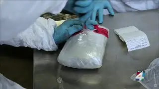 US Border Protection works to keep fentanyl out of the &lsquo;wrong hands&rsquo; as overdoses on the rise