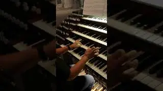 Venus Toccata   di Carol Williams