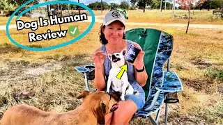 Dog is Human Multivitamins Review | Do They Really Work for My Dogs?