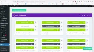 Soluci&oacute;n a Error Divi constructor de temas un error desconocido