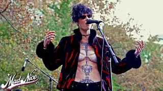 SKORTS - Bodies | Live November 8, 2024 | (MadNiceTV)