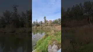 🏞  #travel #nature #shorts #tiktok #shortvideo #tiktokvideo #австрия #austria