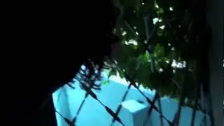 Noisy Cuban Cock