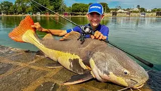 33kg PIRARARA MONSTRA DO RECANTO DO PIRARUCU 