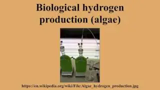 Biological hydrogen production (algae)