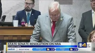 Indiana Senate Republicans honor NRA one day after Louisville mass shooting