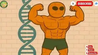 Does DNA Make Us Strong? | Human Body Science Explained