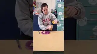 Preschool Beetles Class - Food Group (Activity)