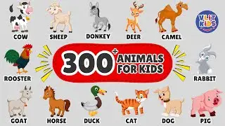300+ Animal Names & Sounds for Kids 🐾 | 5 Hours English Vocabulary Learning for Toddlers