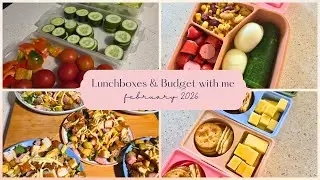 Lunchbox Prep & Back to School & Budget with me