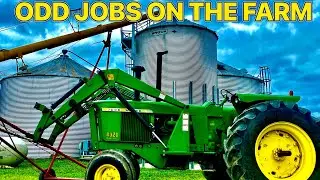 Odd jobs on the farm
