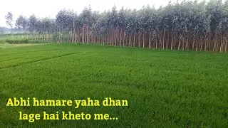 Mysterious Village Tour: Gaw ke khet || village tour || pakistani village beauty