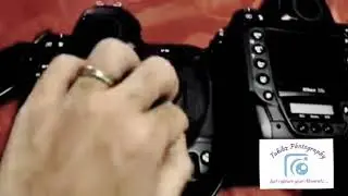 Nikon D3 vs. D3s | Best Dslr for Wildlife Photography.