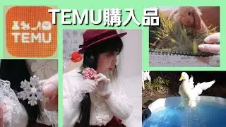 TEMU購入品　🦢アヒルの水浴び