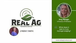 If lodging is the risk, tillers may be the answer