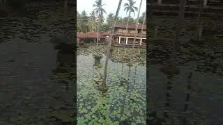 #RVR SAROVAR PORTICO DINDI#Good place to chill