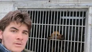 Inside Japan's animal abuse