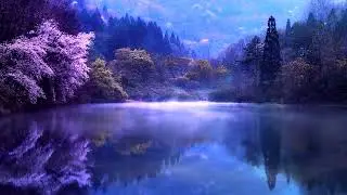 Relaxing Music Absolute Stress Relief | Sleep Music