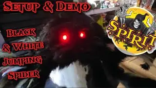 Spirit Halloween Black Jumping Spider Animatronic Setup and Demo!