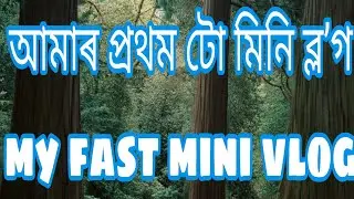 আমাৰ প্ৰথম টো মিনি ব্লʼগ //my fast mini vlog//@dipdipshikhavlogs269
