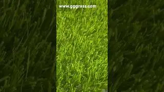 GGGRASS artificial grass is designed to withstand various weather conditions.