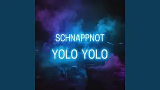 YOLO YOLO