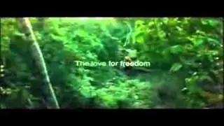 Selvatica Canopy Zip Line Cancun