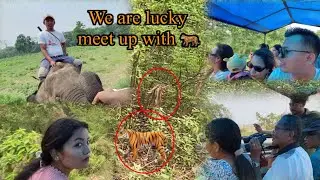 😳OMG Tiger 🐅 in sauraha // चितवन नेसनल पार्कमा नजीकै बाट बघ भेटीयो 🐅 // साथै यती धेरै जनावरहरू॥