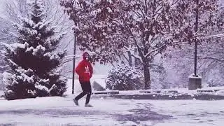 Jingle  my balls