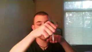 Animal Lore and Early Morning Randomness