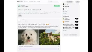 PurrfectCare Pet Care Tips & Stories | Next.js + NextUI | Express + Mongodb + Typescript.