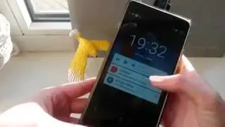 обзор телефона  Lenovo K3 Note (модель K50-t5)