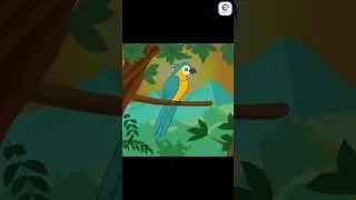Bird Vector Art in Adobe Illustrator | Vector Art | Illustrator Tutorial 