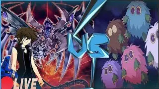 Yu-Gi-Oh Duels - Episode 135 - CyberDark CyberDragon? (LIVE//YgoPro & DuelingNexus)