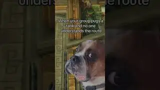 Tank pulls everything by accident #WoW #Funny #Gaming