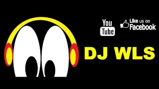 DJ WLS and Behringer Pro DJ Mixer DX2000 USB