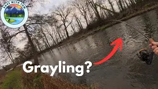 River Test - Timsbury Fishing