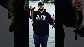 June 16 , 2023. Burin NL 4Lb Sea Run Brown #countrymusic #Fishing #Newfoundland #FlyFishing
