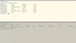 Multi-Host Networking with Docker