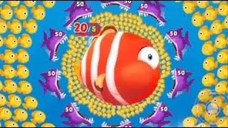 Fishdom 🐠 ads Mini Games 62.7 New update. Hungry fish video gameplay Hadi gaming yt