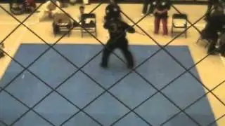 Master Larry Dusatko Kung Fu San Soo School Rosemond Demo - Forms
