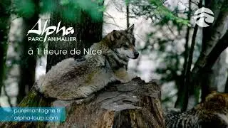 Parc Alpha &eacute;t&eacute; 1