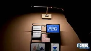 Aplique de pared iluminacuadros LED 6W ajustable