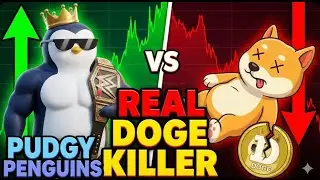 PENGU VS DOGECOIN! IS PUDGY PENGUINS BETTER THAN DOGE COIN?! PENGU PRICE PREDICTION