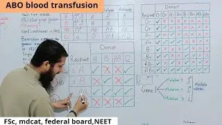 blood transfusion in abo blood group system