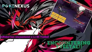 Encountering Yveltal in PokeNexus!!