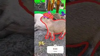 How long are capybaras in the Planet? [Read Description] #capybara #masbro