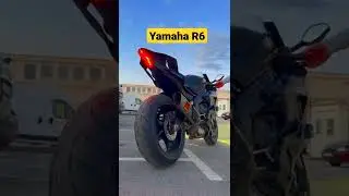 AKRAPOVIC YAMAHA R6 Sound 🔥🔊