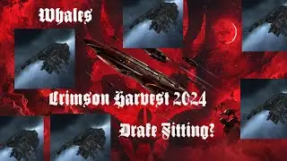 SUB 100M Drake Fitting - Crimson Gauntlet - Alpha Friendly - Beginner Guide
